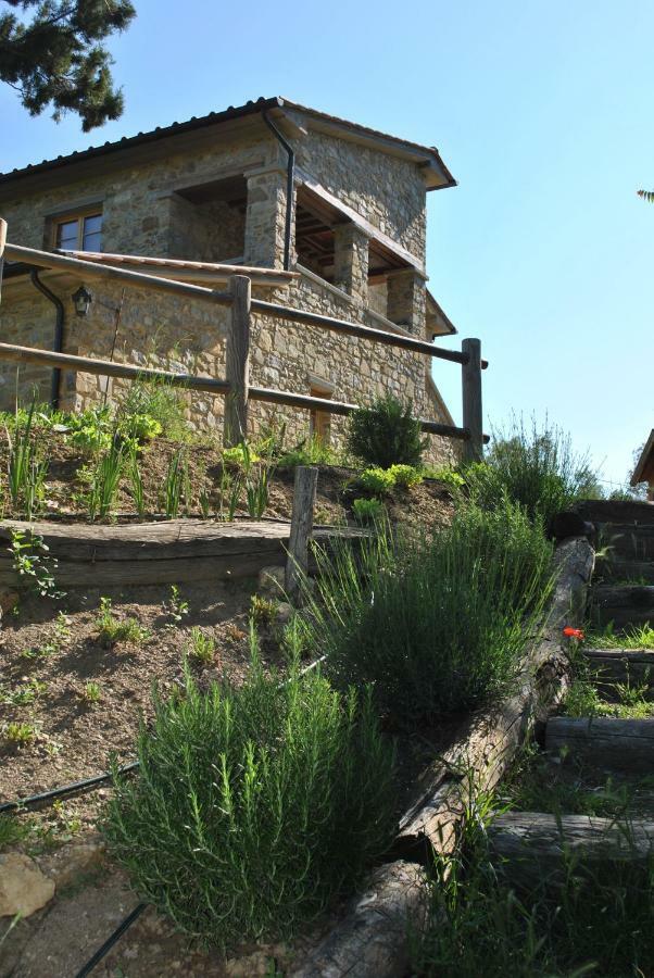 B&B Lavanda E Rosmarino Capolona Eksteriør bilde